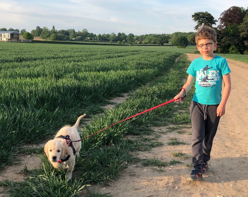 James walking Cookie as a puppy