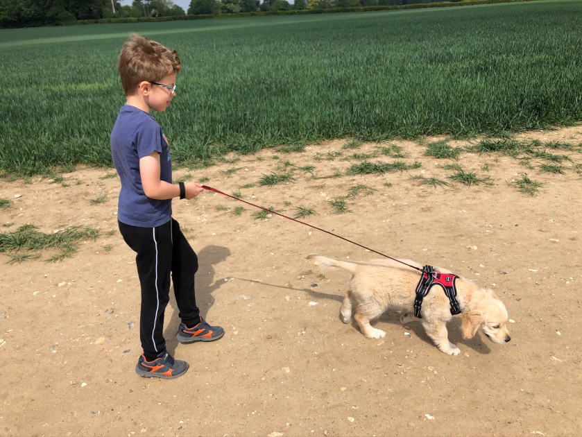 James walking Cookie as a puppy