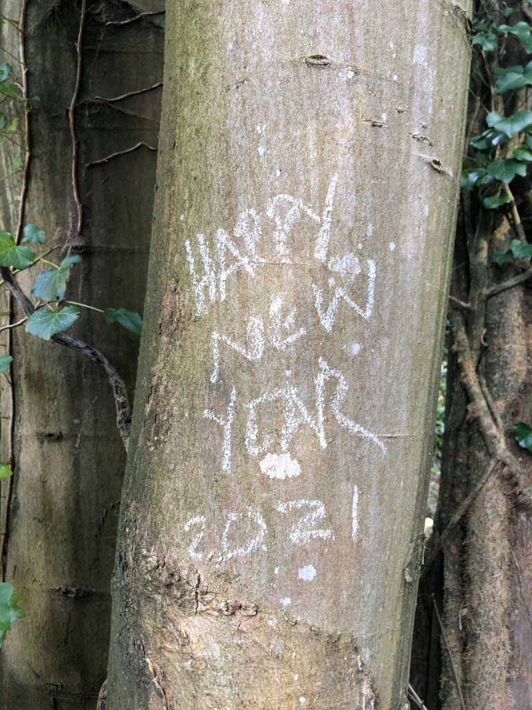 happy new year on a tree