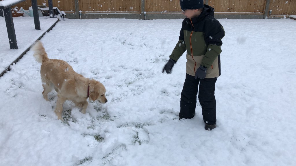 boy and dog in the snow