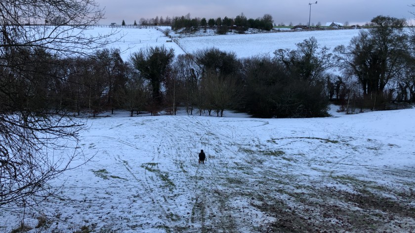 snowy hills