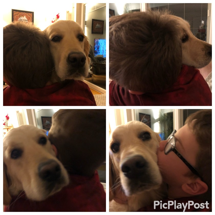 boy hugging dog