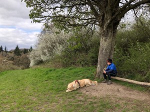 boy and dog sat by a tree