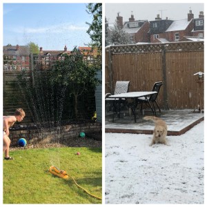 boy running through sprinkler and a dog playing in the snow