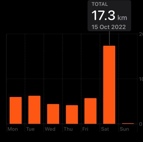 Bar graph showing daily distances in km.